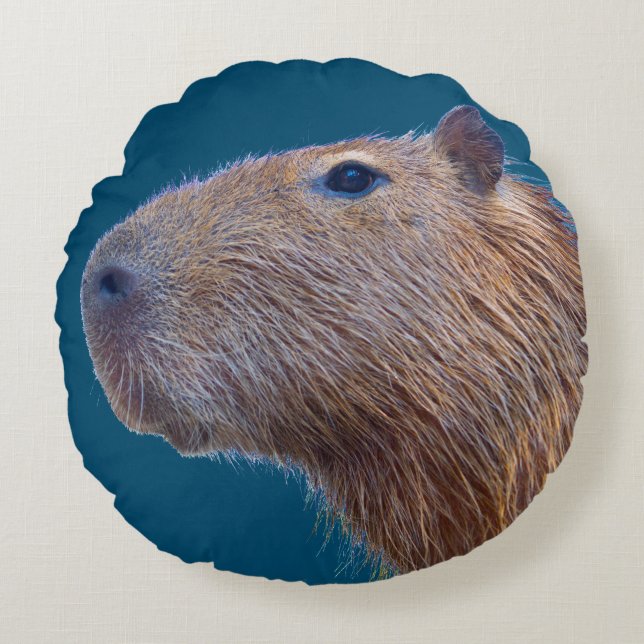 Capybara Round Cushion (Front)