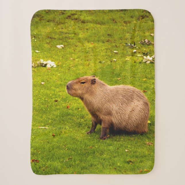 Capybara Sherpa Blanket (Front)