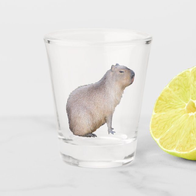 Capybara Shot Glass (Front)
