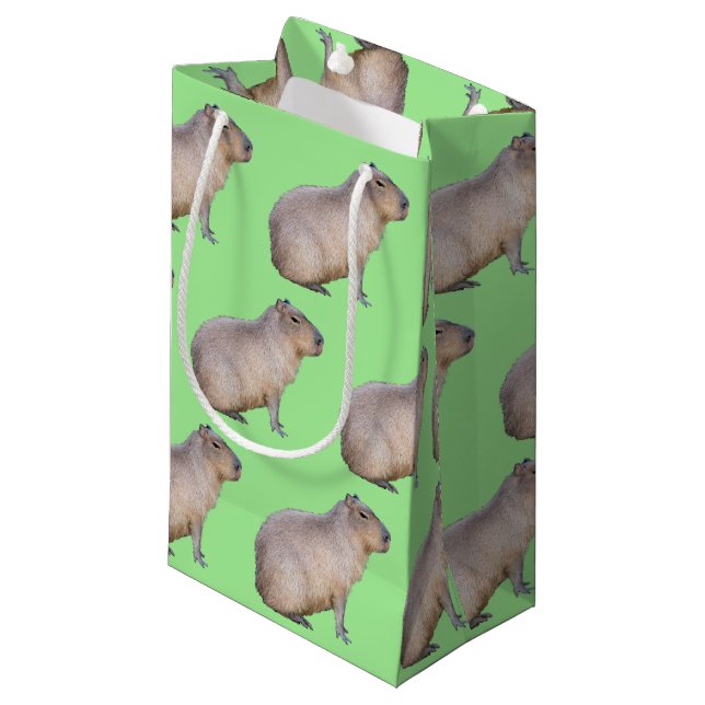Capybara Small Gift Bag (Front Angled)