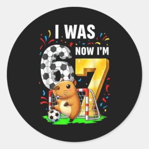 Capybara Soccer Birthday I Was 6 Now Im 7 Funny An Classic Round Sticker
