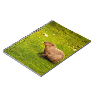 Capybara Spiral Notebook