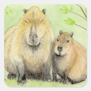 Capybara Square Sticker