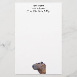Capybara Stationery