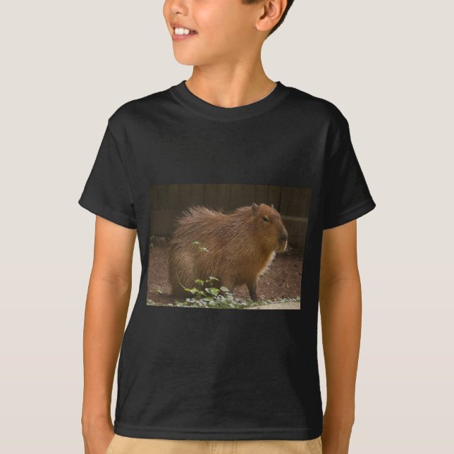 Capybara T-Shirt (Front)