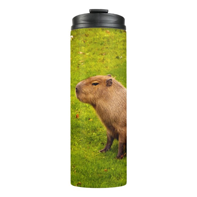 Capybara Thermal Tumbler (Front)