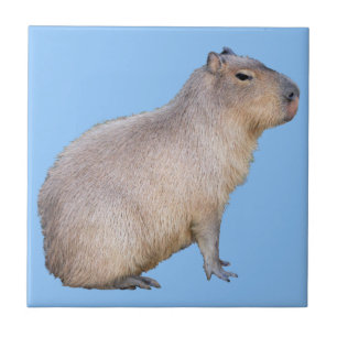 Capybara Tile
