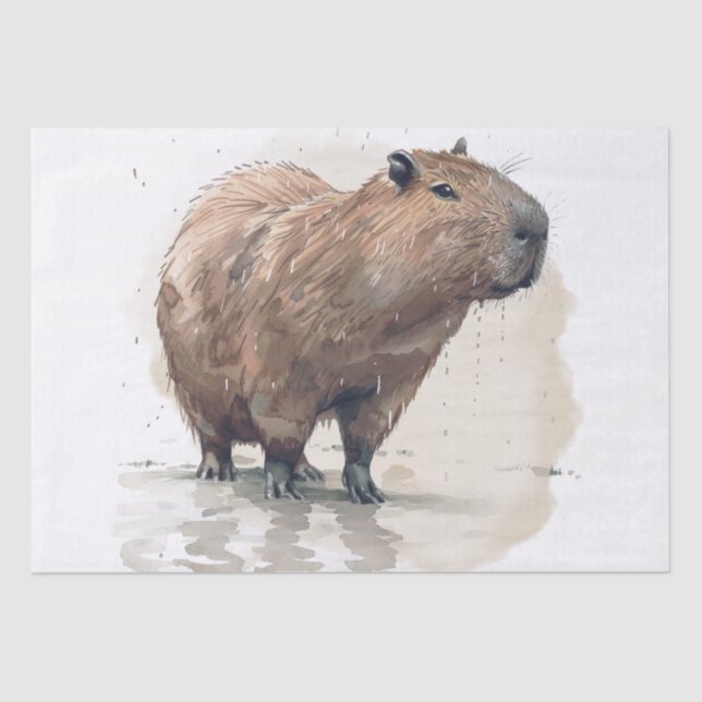  Capybara Tissue Paper (Front)