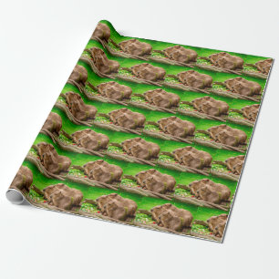Capybara Trio Wrapping Paper