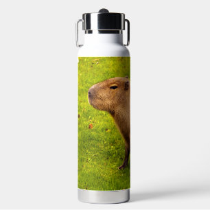 Capybara Water Bottle