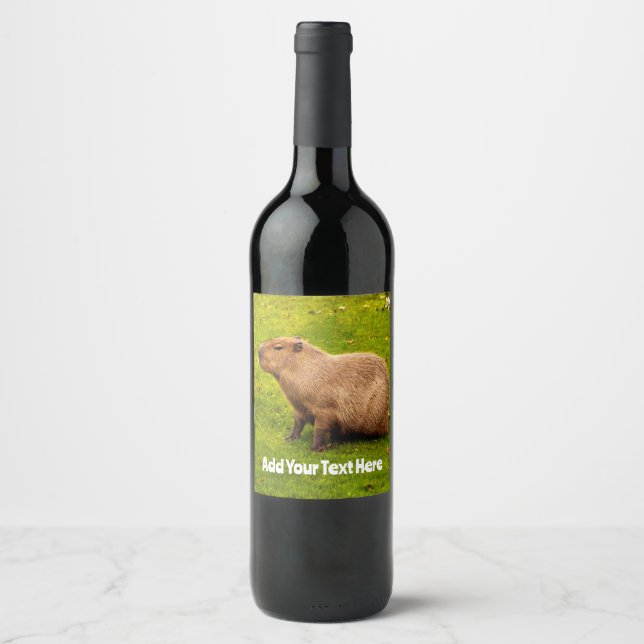 Capybara Wine Label (Front)