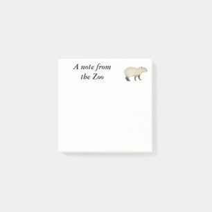 Capybara Zoo Post-it Notes