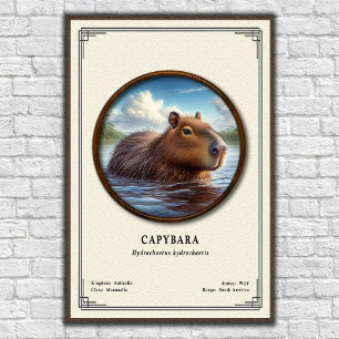 Capybara Zoology Series Poster