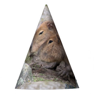 Capybarahs Party Hat