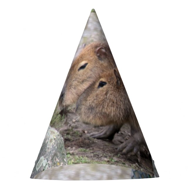 Capybarahs Party Hat (Front)