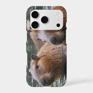 Capybaras' Swimming In The River,