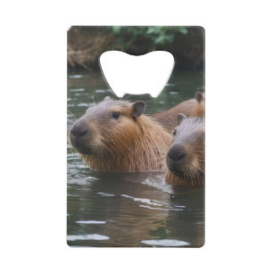 Capybaras' Swimming In The River, 