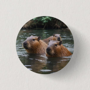 Capybaras' Swimming In The River, 3 Cm Round Badge