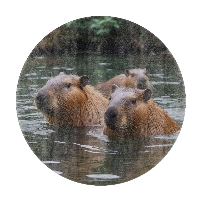 Capybaras' Swimming In The River,  Cutting Board (Front)