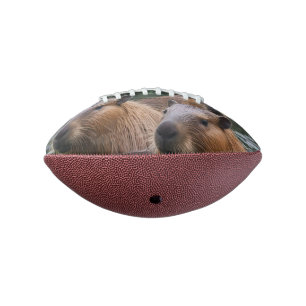 Capybaras' Swimming In The River,  Football