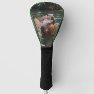 Capybaras' Swimming In The River,  Golf Head Cover