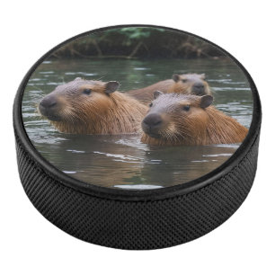Capybaras' Swimming In The River, Hockey Puck