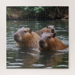 Capybaras' Swimming In The River,  Jigsaw Puzzle