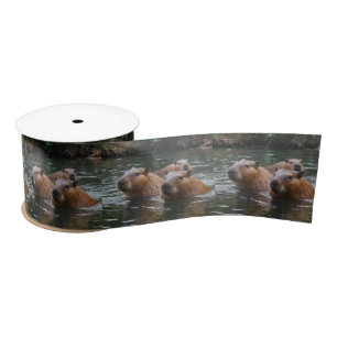 Capybaras' Swimming In The River,  Satin Ribbon