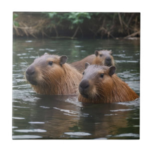 Capybaras' Swimming In The River,  Tile
