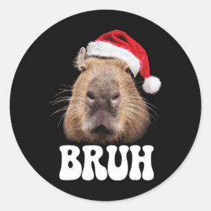 Capyra Bruh Funny Santa Hat Christmas Season Capyr Classic Round Sticker