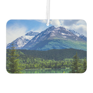 * CAR AIR FRESHENER