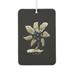 car air freshener art and design