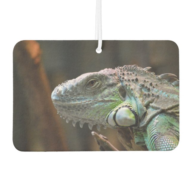 Car Air Fresheners with beautiful Iguana lizard (Front)