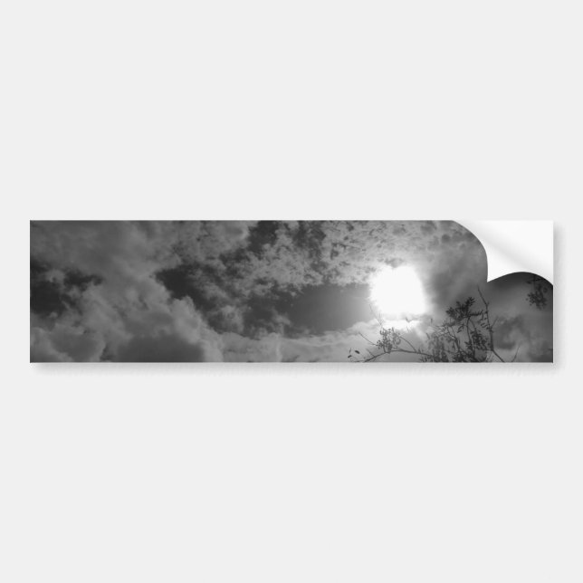 CAR Bumper Sticker ART AND DESIGN STYLE  (Front)
