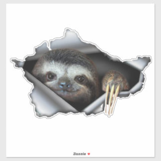 Car sticker Koala car decal Animals sticker Koala