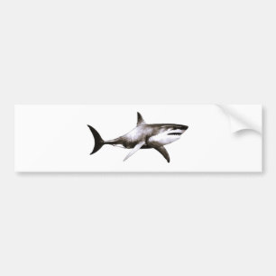 CAR STICKER LABEL ART&DESIGN STYLE 