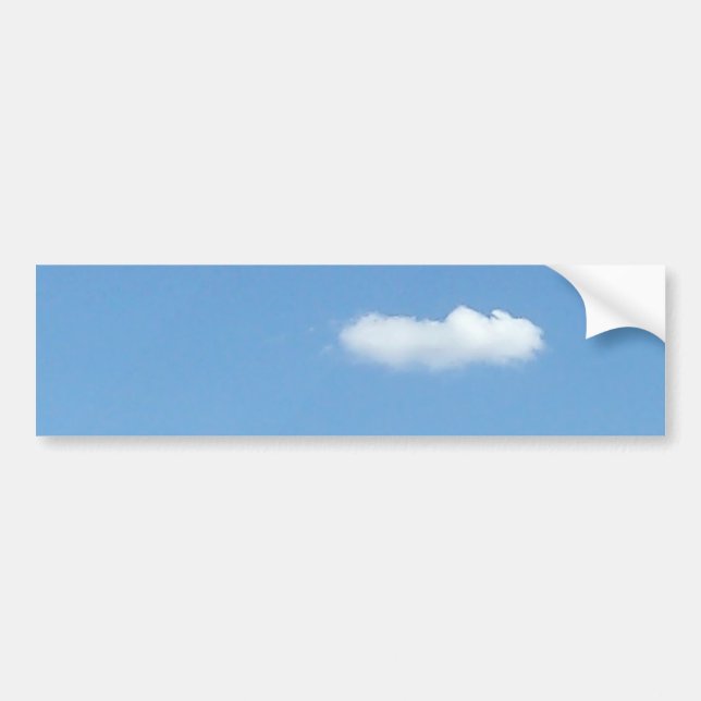 CAR STICKER LABEL COOL ECO DESIGN STYLE  (Front)