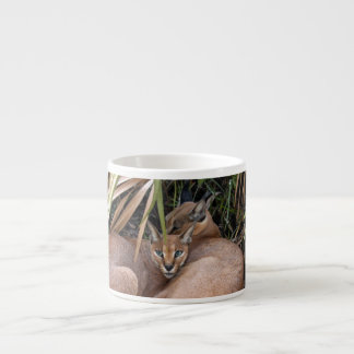 CaracalBCR006 Espresso Cup