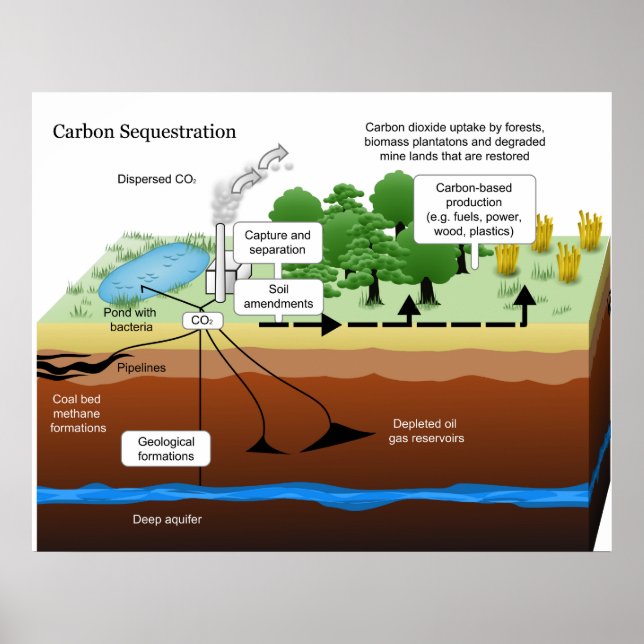 Carbon Dioxide Sequestration from Coal Power Plant Poster (Front)
