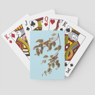 Carbonated Warbler Audubon Bird Playing Cards