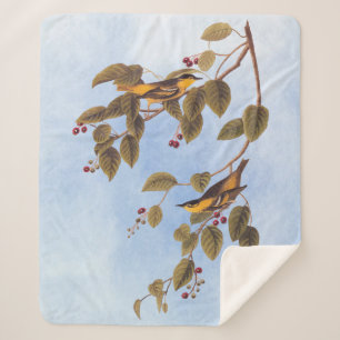 Carbonated Warbler Audubon Bird Sherpa Blanket