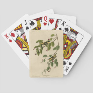 Carbonated Warbler from Audubon's Birds of America Playing Cards