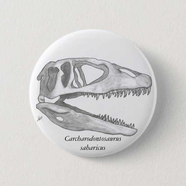 Carcharodontosaurus saharicus skull button (Front)