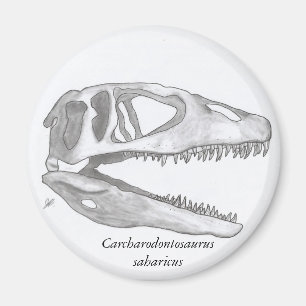 Carcharodontosaurus saharicus skull magnet