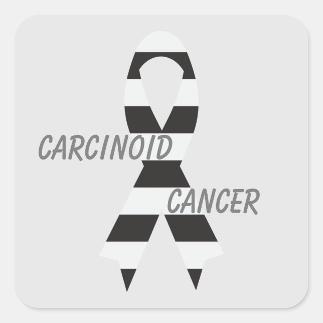 Carcinoid Cancer Zebra Awareness Ribbon by Janz Square Sticker (Front)