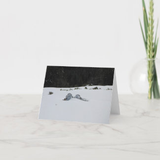 Card -adirondack chairs in snow drift