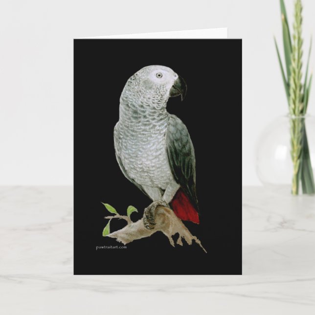 Card - African Gray Parrot (Front)