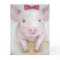 Card/Animal- Baby Pig Card