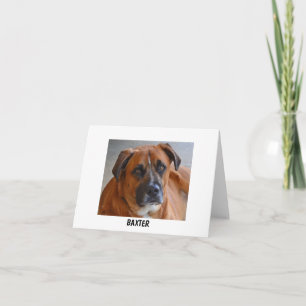 Card - Baxter