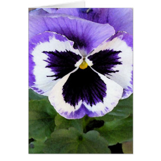 card - Blue, White and Purple Pansy
